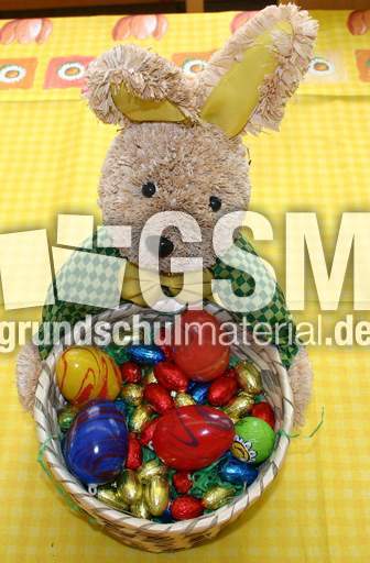 IMG_2487.jpg